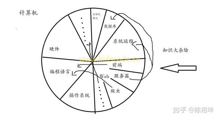 你们都是什么时候开始接触编程的？