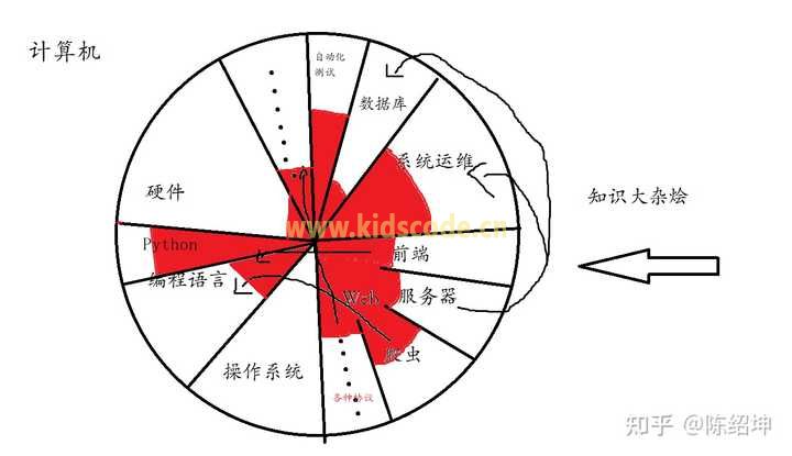 你们都是什么时候开始接触编程的？