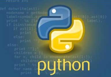 Python基础练习实例31(你说我猜)
