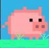 像素猪Pixel pig_个人主页