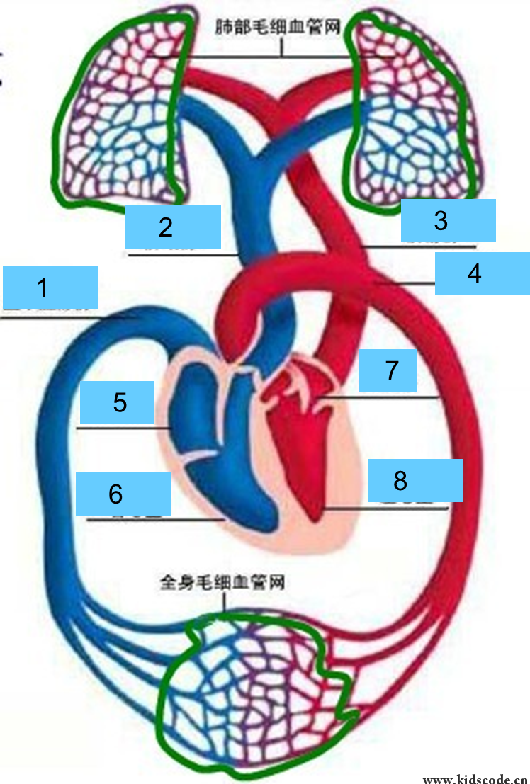 scratch作品_动画小试