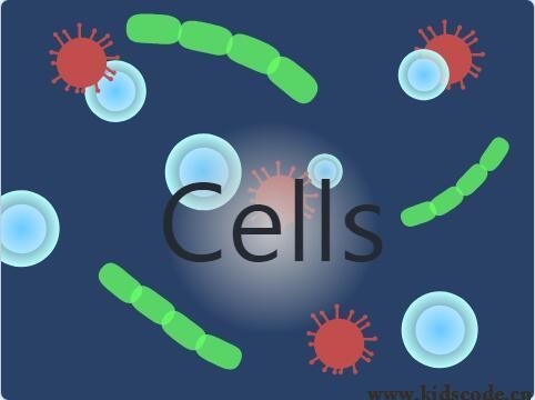 scratch作品_Scratch细胞观察模拟-cells ，