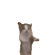 scratch作品_不碰橘子1.0.1 ，
